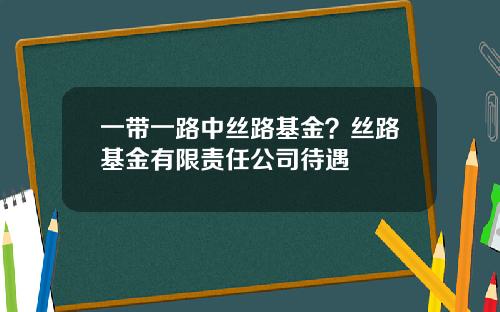 一带一路中丝路基金？丝路基金有限责任公司待遇