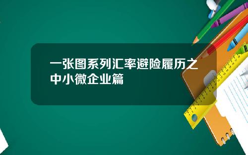 一张图系列汇率避险履历之中小微企业篇