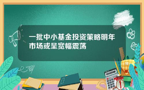 一批中小基金投资策略明年市场或呈宽幅震荡