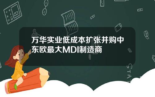 万华实业低成本扩张并购中东欧最大MDI制造商