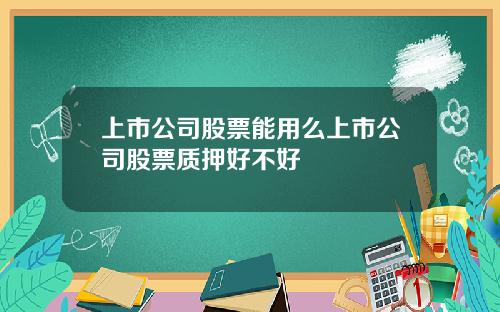 上市公司股票能用么上市公司股票质押好不好