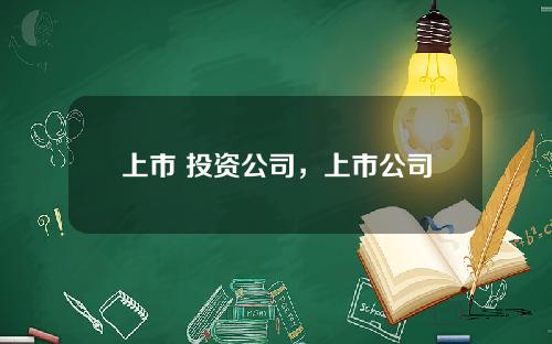 上市 投资公司，上市公司