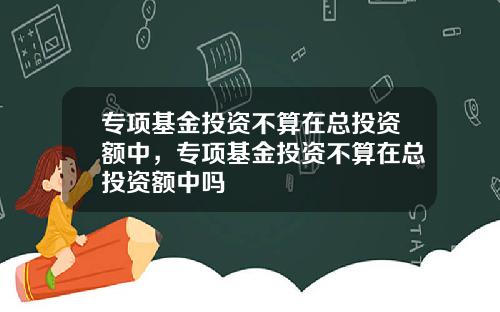 专项基金投资不算在总投资额中，专项基金投资不算在总投资额中吗