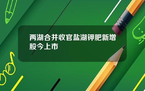 两湖合并收官盐湖钾肥新增股今上市