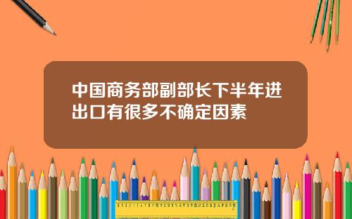 中国商务部副部长下半年进出口有很多不确定因素