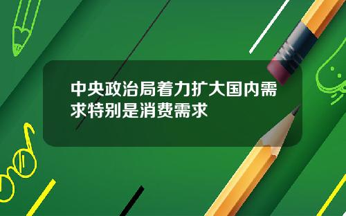 中央政治局着力扩大国内需求特别是消费需求