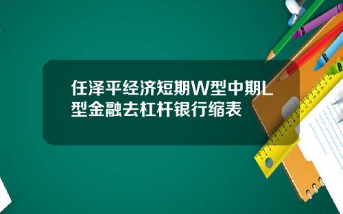 任泽平经济短期W型中期L型金融去杠杆银行缩表