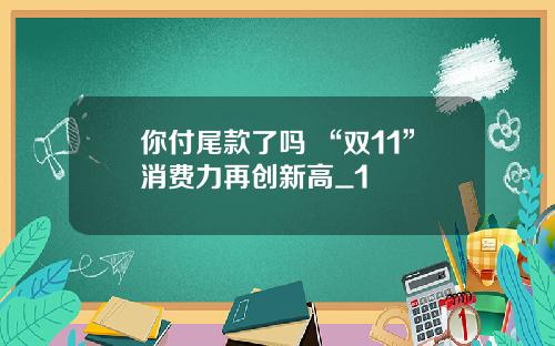 你付尾款了吗 “双11”消费力再创新高_1