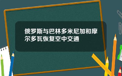 俄罗斯与巴林多米尼加和摩尔多瓦恢复空中交通