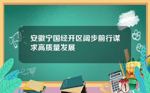 安徽宁国经开区阔步前行谋求高质量发展