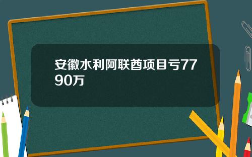 安徽水利阿联酋项目亏7790万