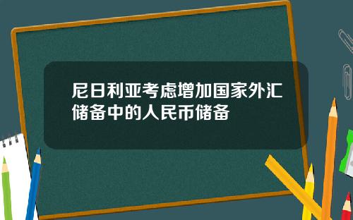 尼日利亚考虑增加国家外汇储备中的人民币储备