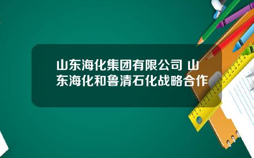 山东海化集团有限公司 山东海化和鲁清石化战略合作