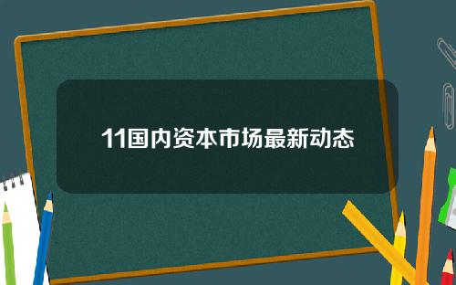 11国内资本市场最新动态