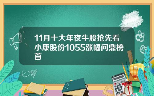 11月十大年夜牛股抢先看小康股份1055涨幅问鼎榜首