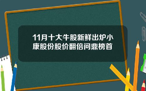 11月十大牛股新鲜出炉小康股份股价翻倍问鼎榜首