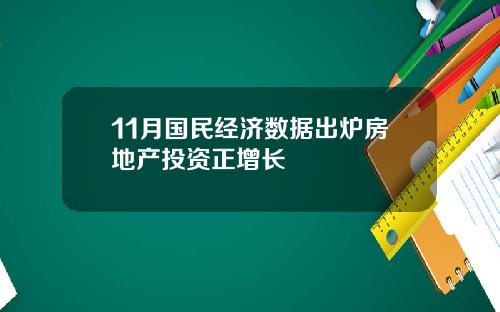 11月国民经济数据出炉房地产投资正增长