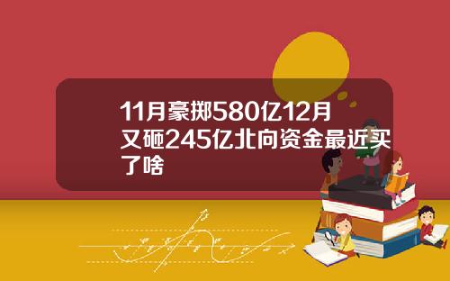 11月豪掷580亿12月又砸245亿北向资金最近买了啥