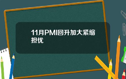 11月PMI回升加大紧缩担忧