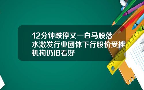 12分钟跌停又一白马股落水激发行业团体下行股价受挫机构仍旧看好