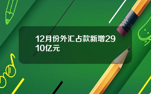 12月份外汇占款新增2910亿元