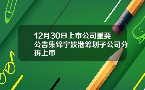 12月30日上市公司重要公告集锦宁波港筹划子公司分拆上市