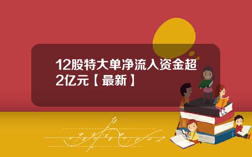 12股特大单净流入资金超2亿元【最新】