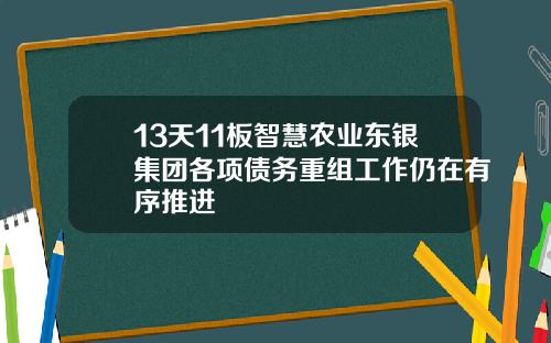 13天11板智慧农业东银集团各项债务重组工作仍在有序推进