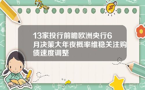 13家投行前瞻欧洲央行6月决策大年夜概率维稳关注购债速度调整