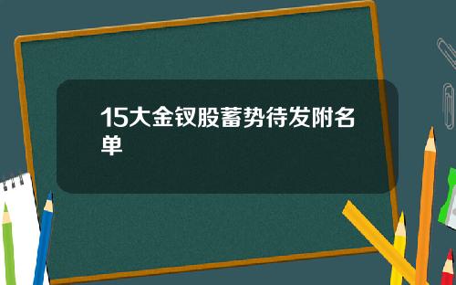 15大金钗股蓄势待发附名单