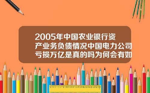 2005年中国农业银行资产业务负债情况中国电力公司亏损万亿是真的吗为何会有如此多的负债