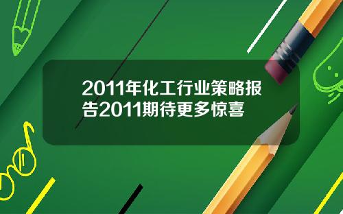 2011年化工行业策略报告2011期待更多惊喜