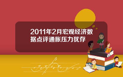 2011年2月宏观经济数据点评通胀压力犹存