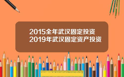 2015全年武汉固定投资2019年武汉固定资产投资