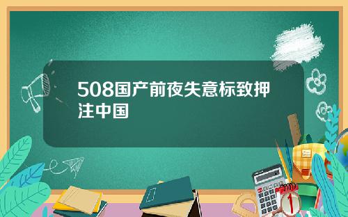 508国产前夜失意标致押注中国