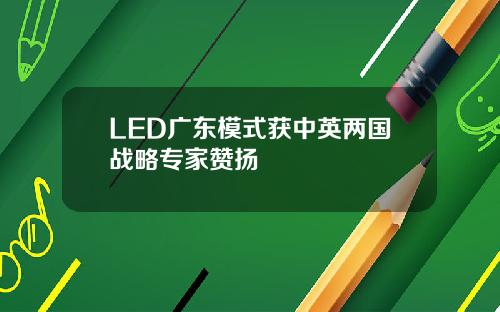 LED广东模式获中英两国战略专家赞扬