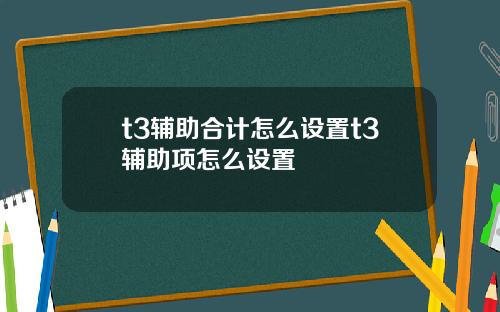 t3辅助合计怎么设置t3辅助项怎么设置