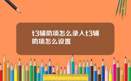 t3辅助项怎么录入t3辅助项怎么设置