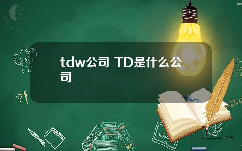 tdw公司 TD是什么公司