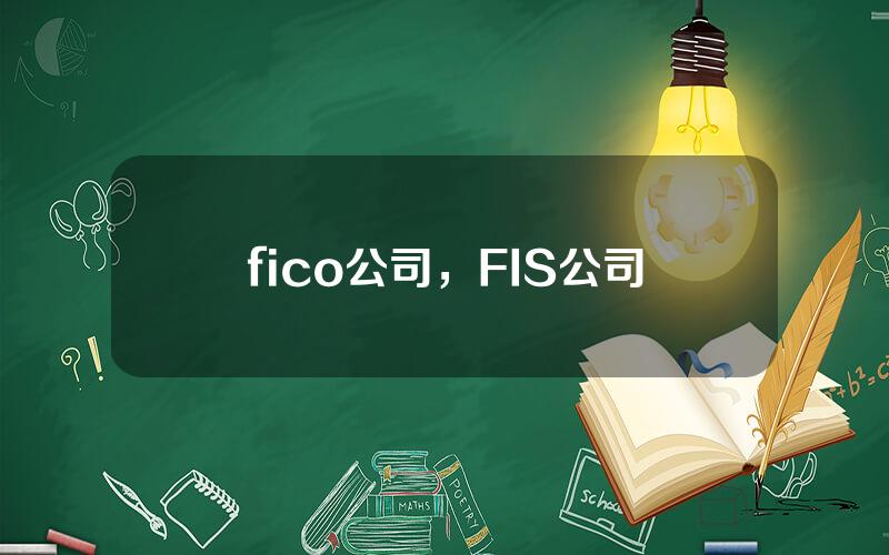 fico公司，FIS公司