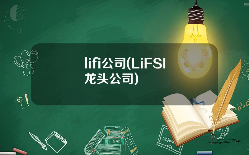 lifi公司(LiFSI龙头公司)