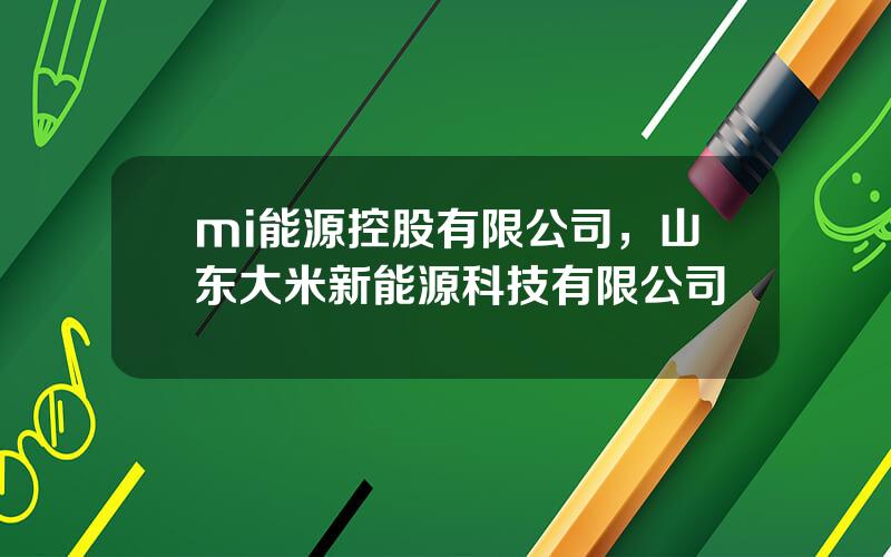 mi能源控股有限公司，山东大米新能源科技有限公司