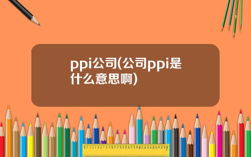 ppi公司(公司ppi是什么意思啊)