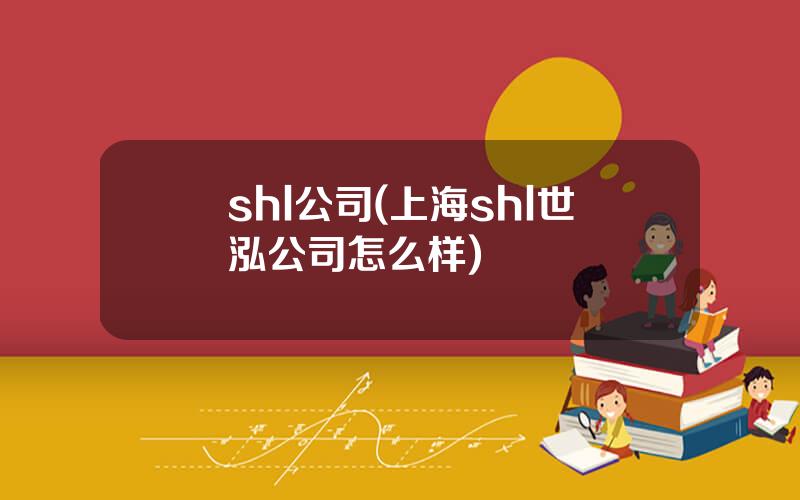 shl公司(上海shl世泓公司怎么样)