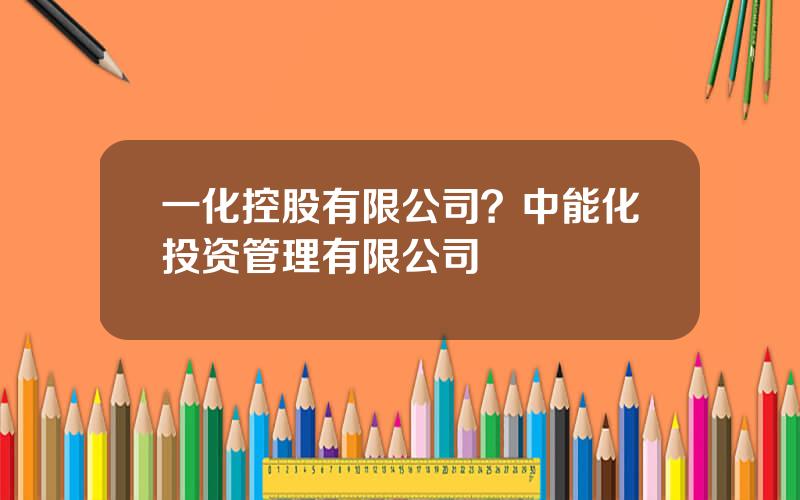 一化控股有限公司？中能化投资管理有限公司