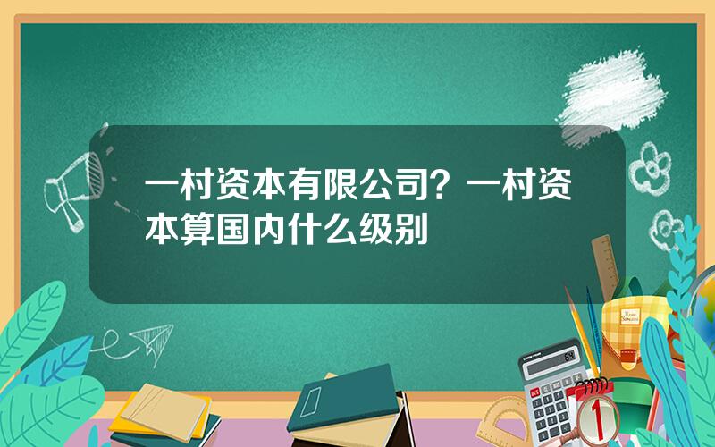 一村资本有限公司？一村资本算国内什么级别