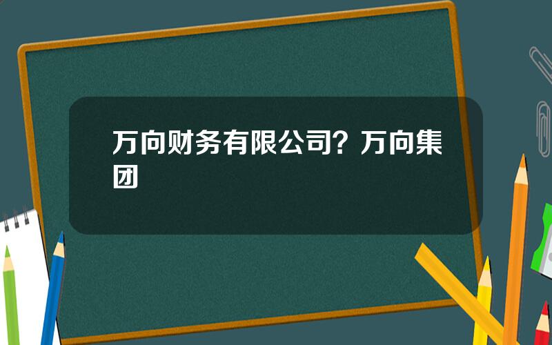 万向财务有限公司？万向集团