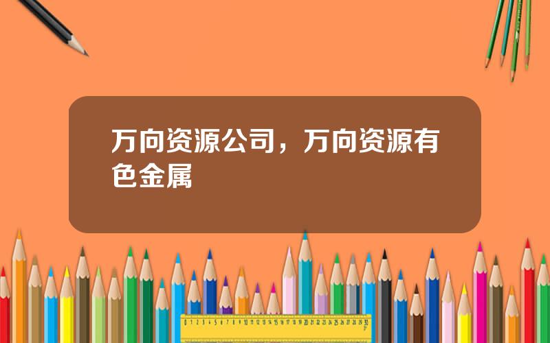 万向资源公司，万向资源有色金属