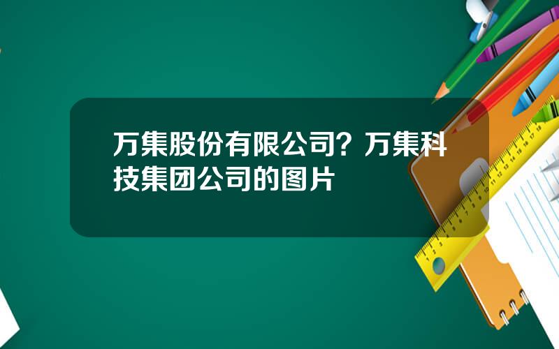 万集股份有限公司？万集科技集团公司的图片