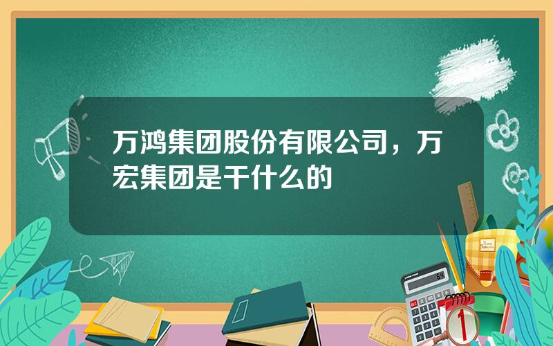 万鸿集团股份有限公司，万宏集团是干什么的